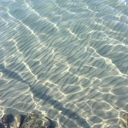 Aranypart Siofok
